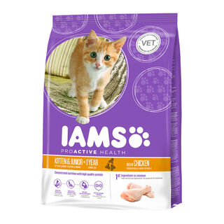 IAMS Kitten&Junior Frango ração para gatos